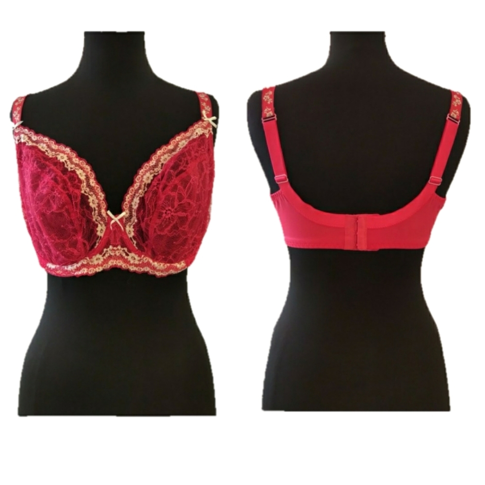 Elixir Floral Mesh Bra